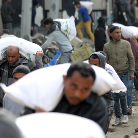 GAZA CITY, GAZA - FEBRUARY 19: Palestinians receive bags of flour as they wait for aid supplies carried by trucks to enter from the border in Gaza Strip on February 19, 2024. The Israeli war on Gaza has pushed 85% of the territory's population into internal displacement amid acute shortages of food, clean water, and medicine, while 60% of the enclave's infrastructure has been damaged or destroyed, according to the UN. (Photo by Dawoud Abo Alkas/Anadolu via Getty Images)