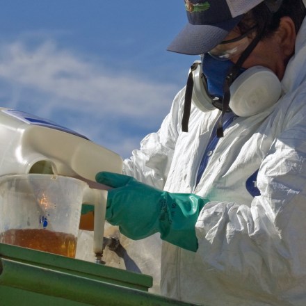 A worker mixing pesticides, which will be sprayed on a field farmed by La Brucherie Produced, Seeley, Imperial Valley, California. *** Local Caption *** Environnement, pollution, produits chimiques, masque, combinaison, gants, protection, insecticides, herbicidesagriculture agricultural air chemical chemicals chemicals country dust Economy environmental issues environment farm farm farming farm farmyard farm worker farm worker workers farmer farmers farming farmworker farmworkers half face particulate mask masks hazard hazardous safety hazard hazards hazardous health and safety Imperial Valley insecticide insecticides Work landworker landworkers man men pesticide pesticide pesticides pollution pour pouring protective clothing respirator respirators rural Seeley spray work working worker workers